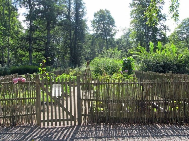 horta com cerca simples de bambu