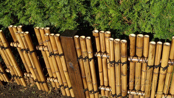 jardim com cercado em bambu