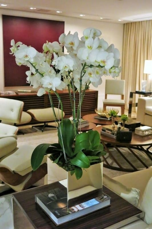 sala de estar com vaso decorativo espelhado com orquídea
