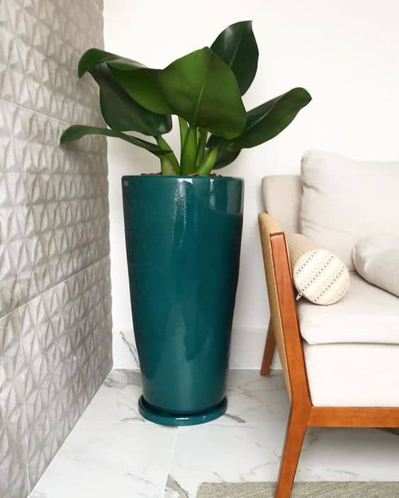 sala com vaso decorativo de chão com planta