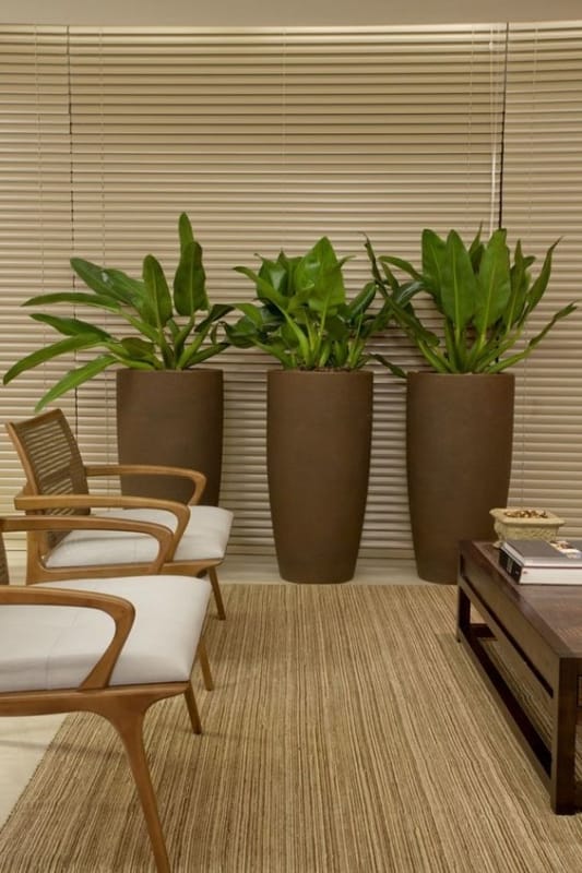 sala com trio de vasos decorativos de chão com plantas