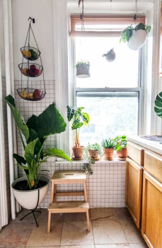 Cozinha decorada com plantas pequenas