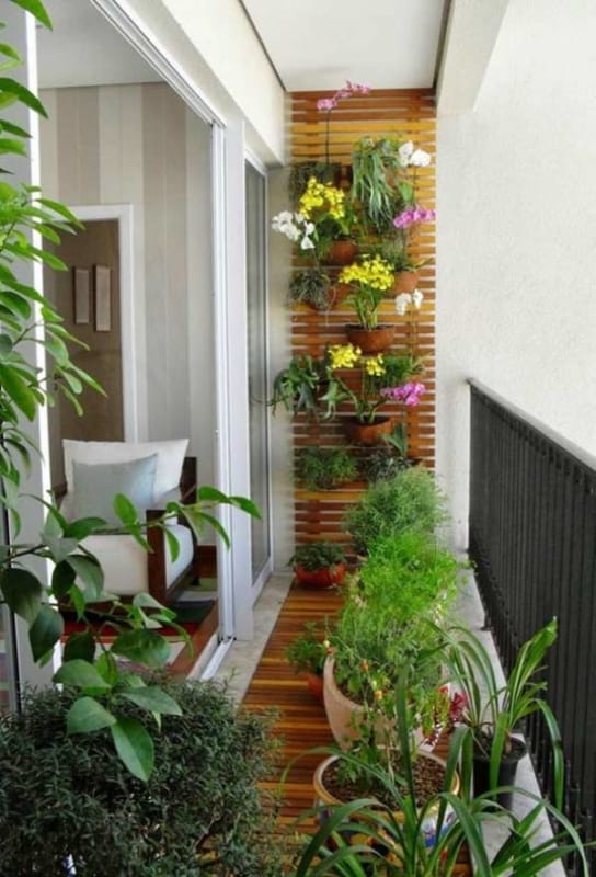 Plantas para apartamento darão um ar de proximidade com a natureza