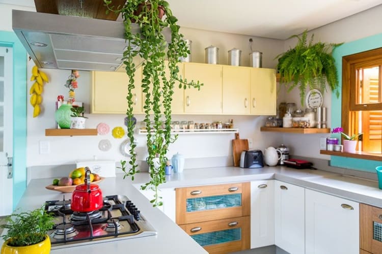 Plantas podem deixam a cozinha ainda mais aconchegante