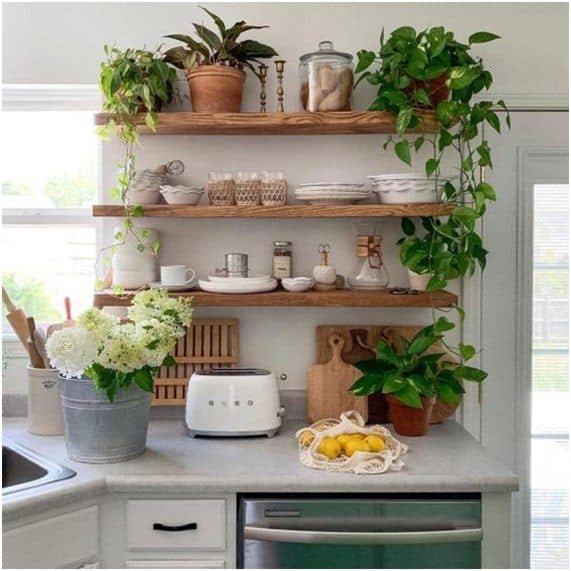 Plantas também podem fazer parte da decoração da cozinha