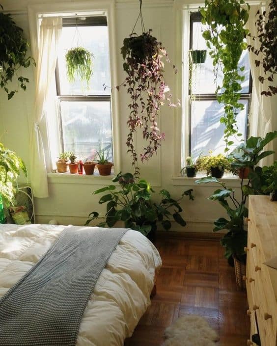 Se desejar pode cultivar diversos tipos de plantas no quarto