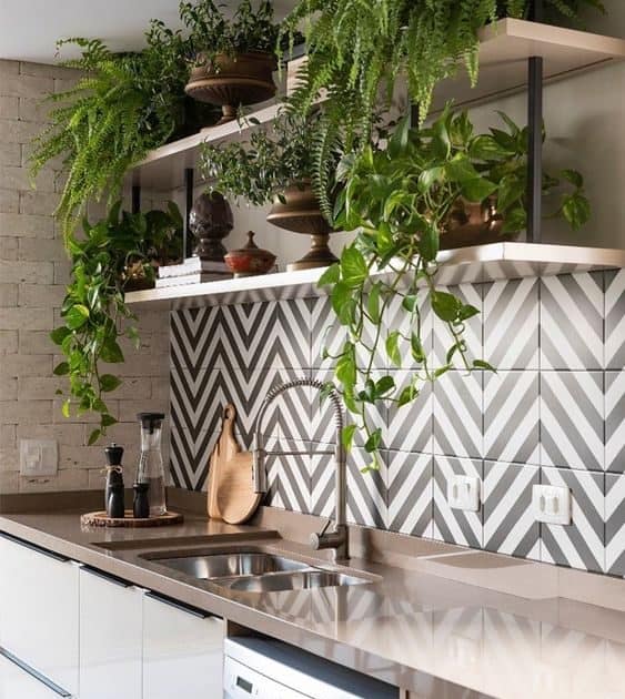 Você pode cultivar plantas em prateleiras na cozinha do apartamento